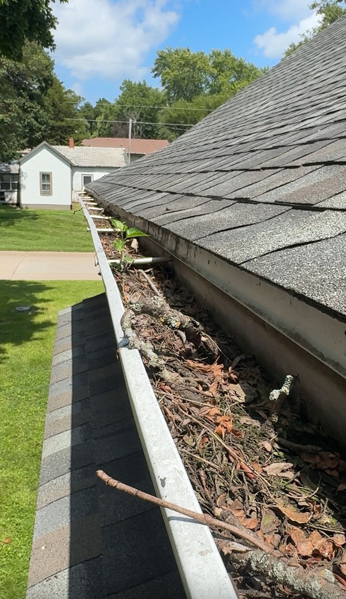 Full Gutter Clean-Out